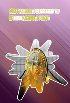 Bitcoin price thanks to bug