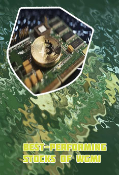 Crypto mining company stock