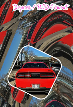 Dodge crypto price
