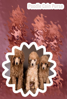Poodle crypto price