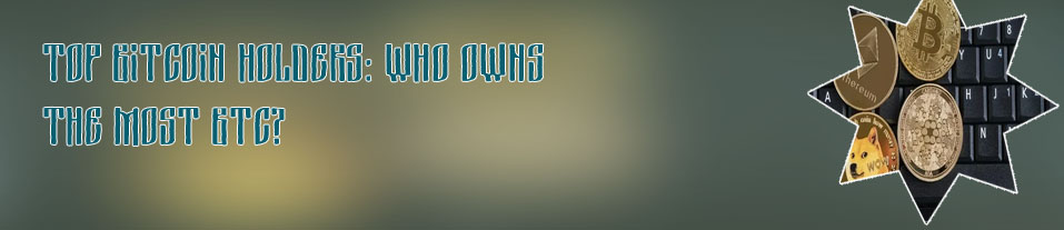 Who own bitcoin