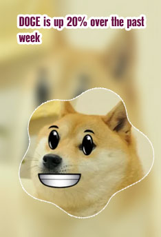 Wtf is dogecoin